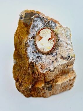 Antique Cameo Carved Shell 10K Gold Filled Brooch Pendant Signed EMESCO